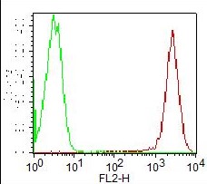 Monoclonal Antibody to human CD45 (Clone EO-1)